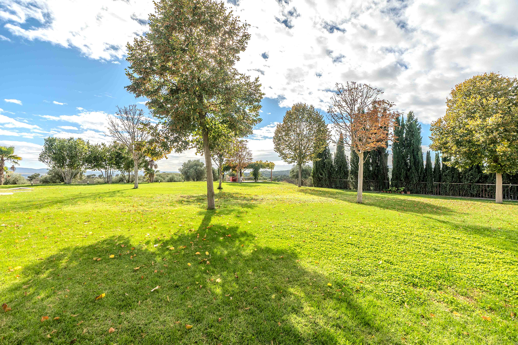 Best Seasons for Filming in Central Spain: A Director’s Guide to Perfect Light