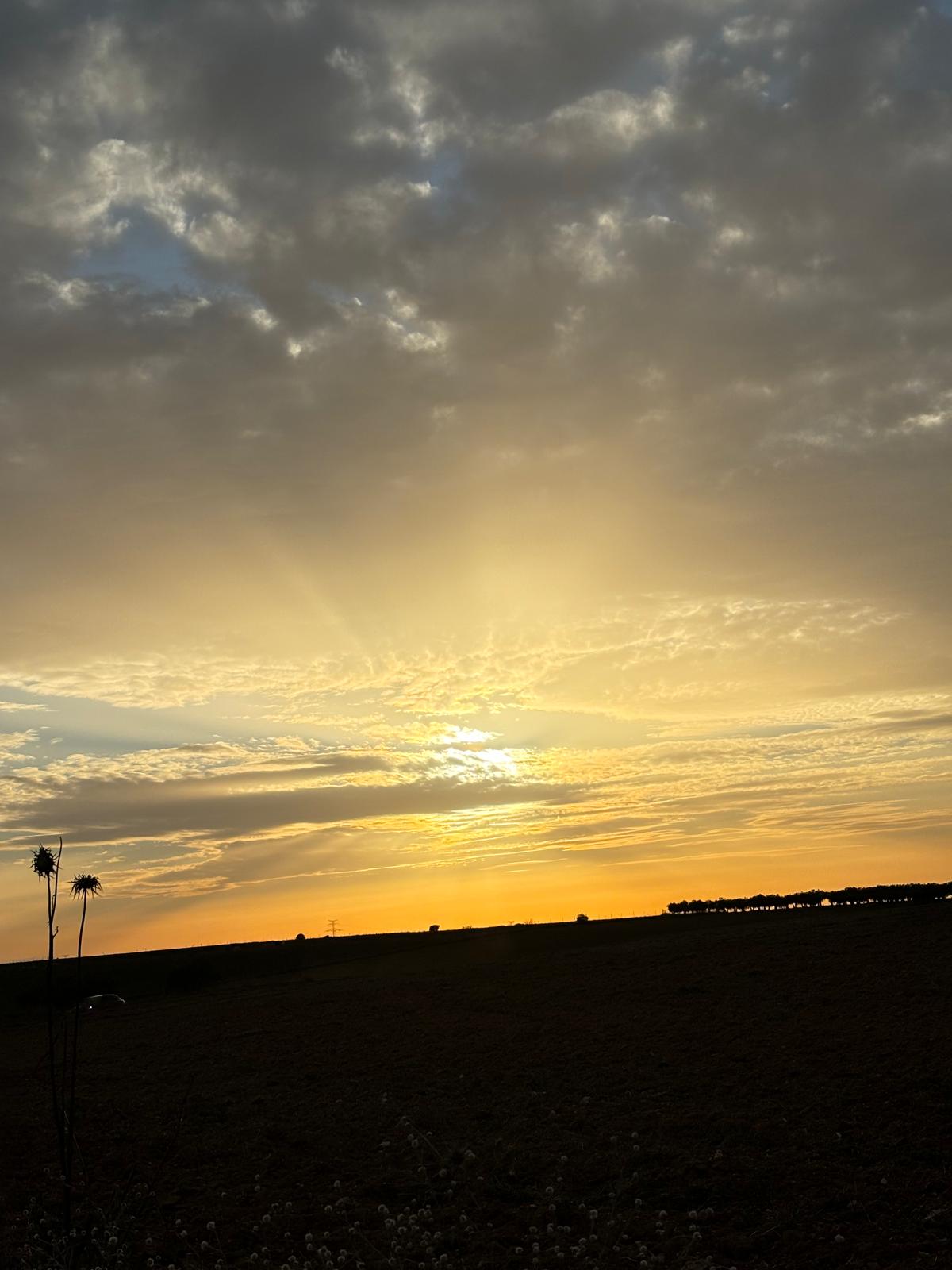 WhatsApp Image 2025-07-02 at 17.04.54 (22)