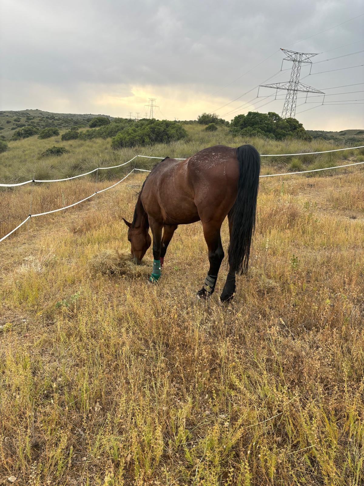 df42c6ae95abf76355db5b525bafb2454c0f0b21